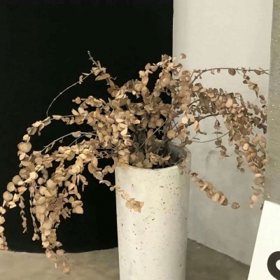 兽设表情绘制技巧兽圈社群